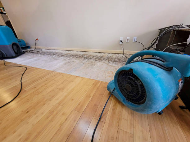 Professional Flood Damage Cleanup technician working in Uhrichsville, OH